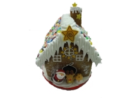 ginger_house