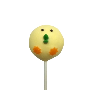 Pumpkin Cake Pop